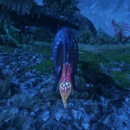 A meer deer at night from behind, showing off the bioluminescent patter on its tail.