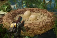 Dodiapede nest