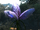 Tulipthorn