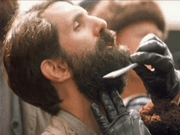 25223-23805.gif