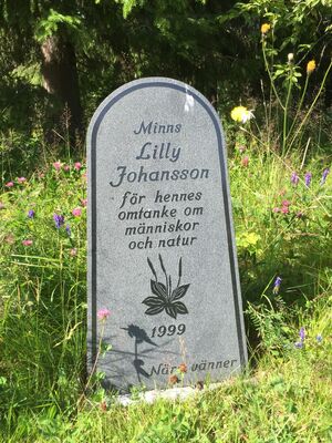 Minnessten