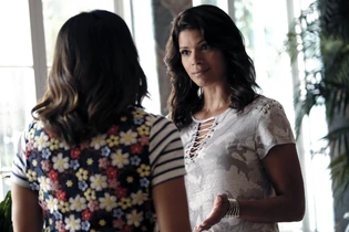 65xane.jpeg (2.81 MB)