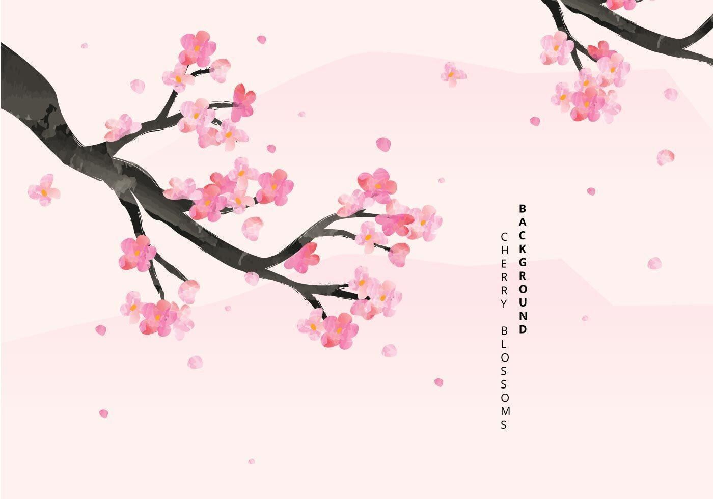 Cherry-blossoms-background.jpg