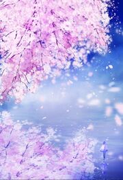 Cherry blossoms Anime.jpg