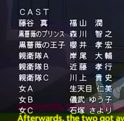 Karin 05 Japanese Voice Over Wikia Fandom