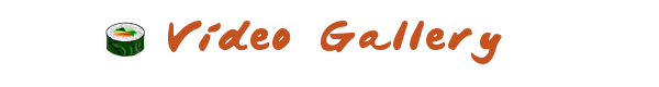 Vidgal.png