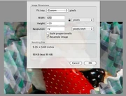 「プレビュー」アプリ (Mac)