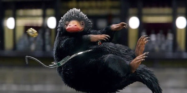 ユーザーブログ Kuro0222 ファンタビ ファンタビに登場する動物たち コミュニティセントラル Fandom