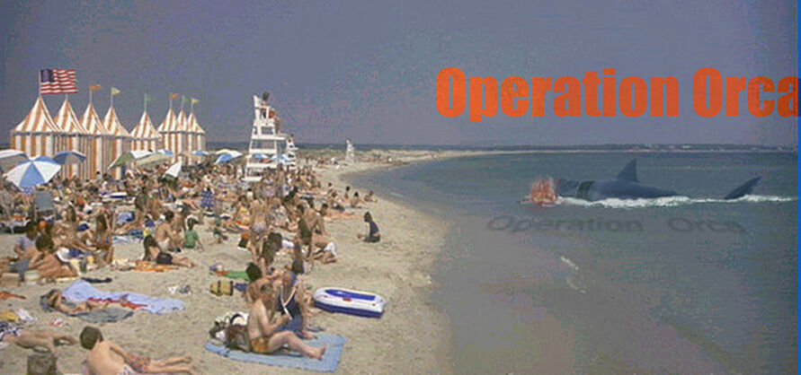 Kintner beach OO banner.jpg