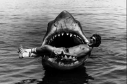 Jaws-its-a-sign.jpg (136 KB)