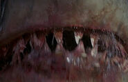 Great White Shark from Jaws 5