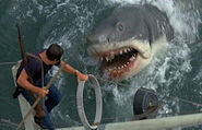 Great White Shark from Jaws 8