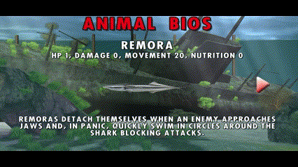 Remora