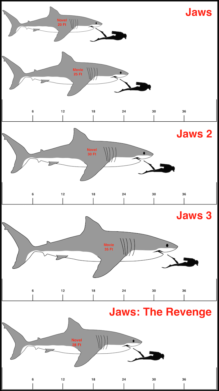 Size of the sharks from the Jaws franchise Jaws Wiki Fandom