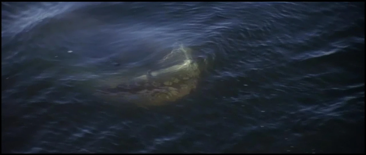 Jaws and Geronimo Jaws Wiki Fandom