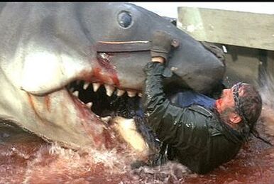 Quint, Jaws Wiki