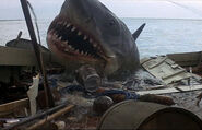 Great White Shark from Jaws 1