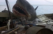 Great White Shark from Jaws 1.jpg (29 KB)