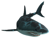 Jaws Unleashed shark