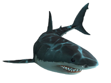 Shark Games - Giant Bomb