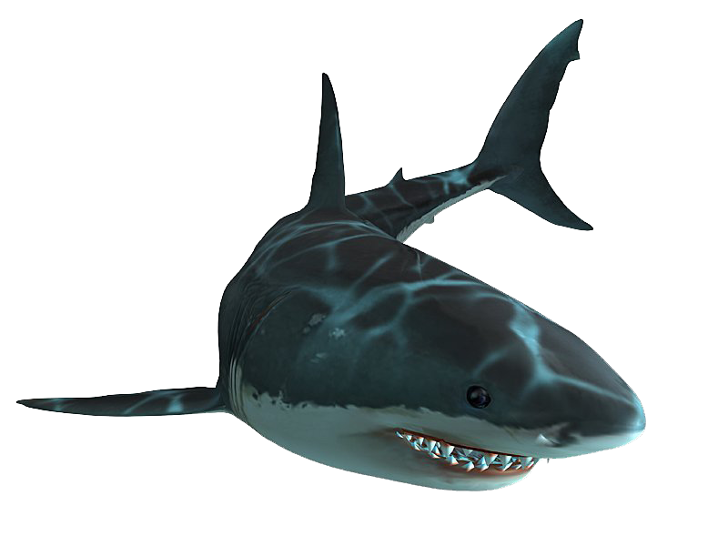 Great White Shark Games - Giant Bomb