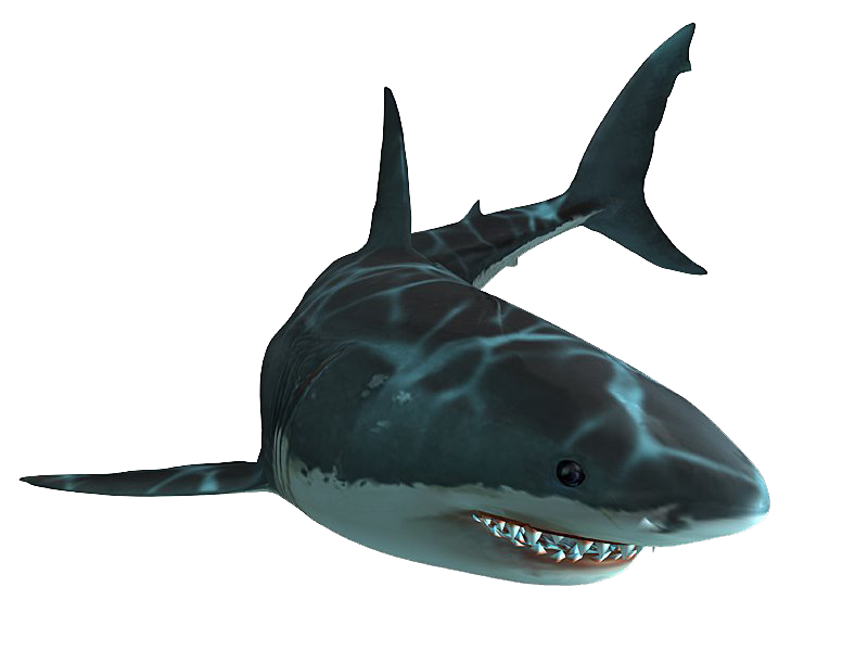 Jaws Unleashed - Wikipedia