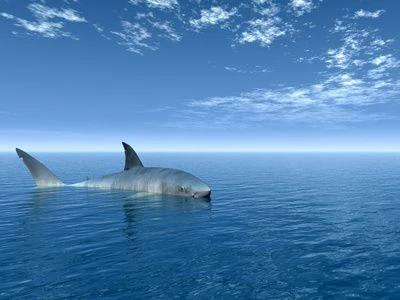 Jaws Jaws