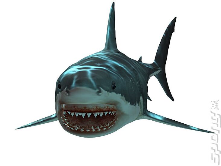 邦楽 GREAT WHITE SHARK ROCK / SWAMP RATZ Swamp Ratz – Great White Shark Rock – CDr (Album