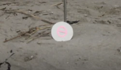 Vote Blocker | JaybirdSurvivor Wikia | Fandom