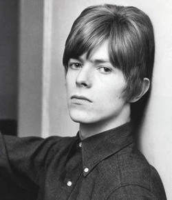 David Bowie | Jay’s Music Search Wiki | Fandom