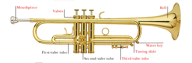 Parts of the trumpet