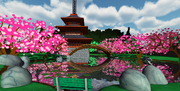 The Koi Pond