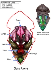 Grievous' inneren Organe (Concept art für Episode III)