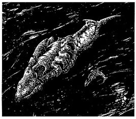Andoanischer Mineralfisch