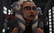 Ahsoka gefangen