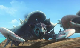 Unidentifizierte Krabbe