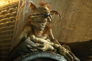 Salacious crumb