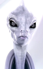  - der Premierminister von  während der .