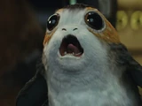Porg