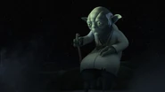 Yoda Baum.jpg (351 KB)