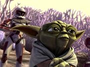 Yoda & Thire