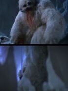 ÄnderungSW Wampa