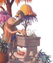 Momaw Nadon und seine Bafforbäume