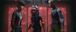 Ahsoka , Trace & Rafa in Zelle