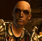 Calphayus ohne Maske