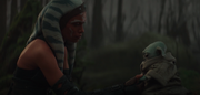 Ahsoka erkennt, dass Grogu eine starke Bindung zu Din Djarin hat.