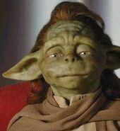 Yaddle.jpg (10 KB) Yaddle