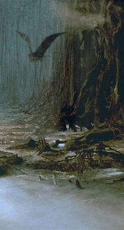 Dagobah detail