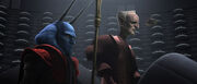 Mas Amedda TCW