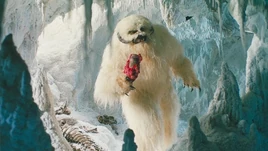 Wampa